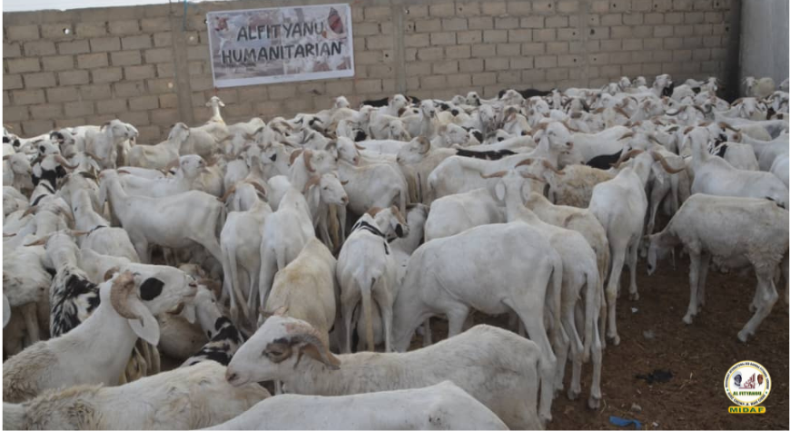 tabaski-2025-distribution-moutons-midaf-alfityanou (2)